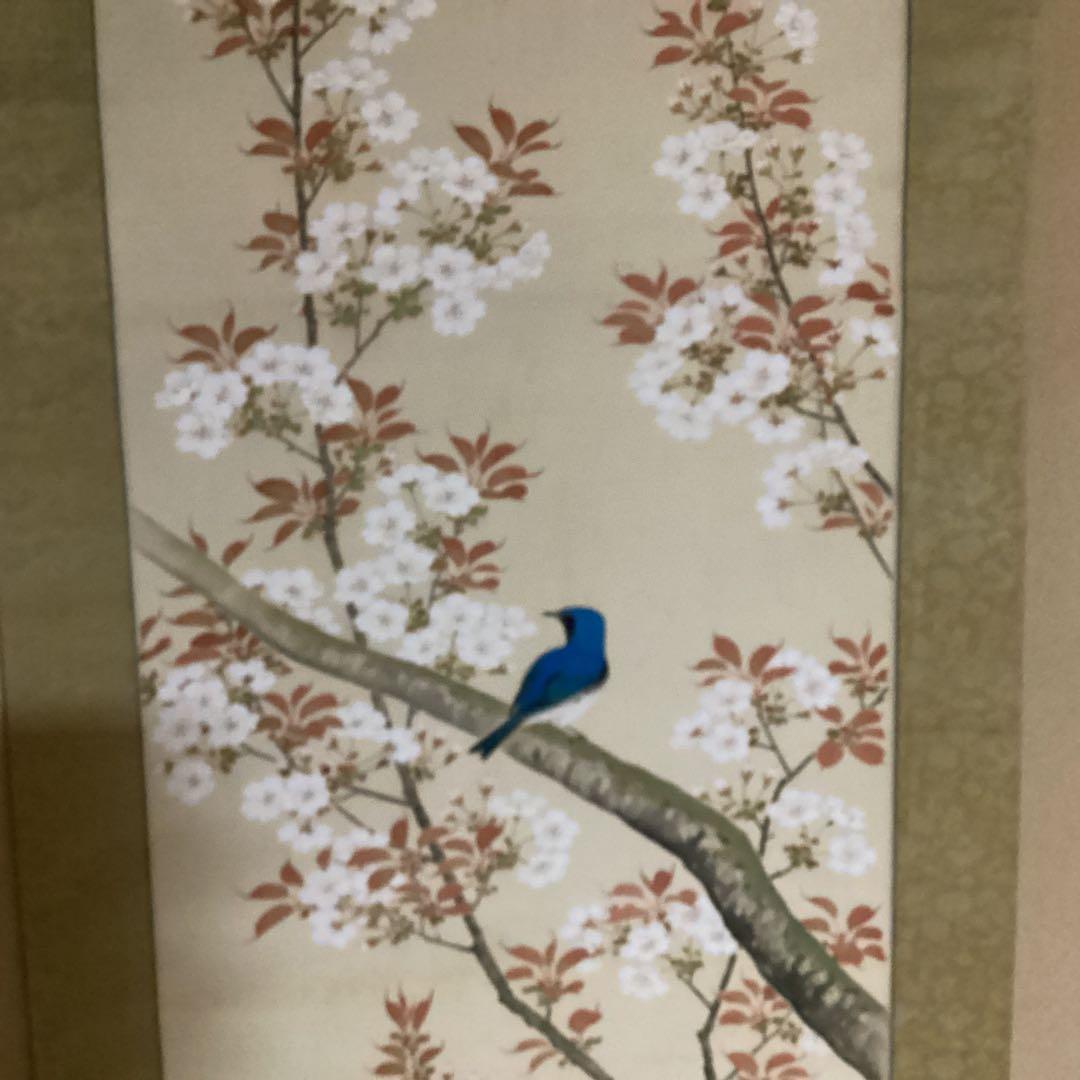O-6 桜花の図　尚文　　桜と青い鳥の掛軸