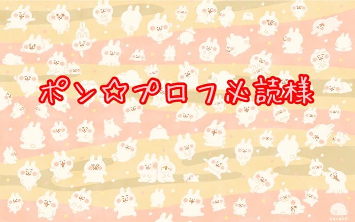 ポン☆プロフ必読様　確認用