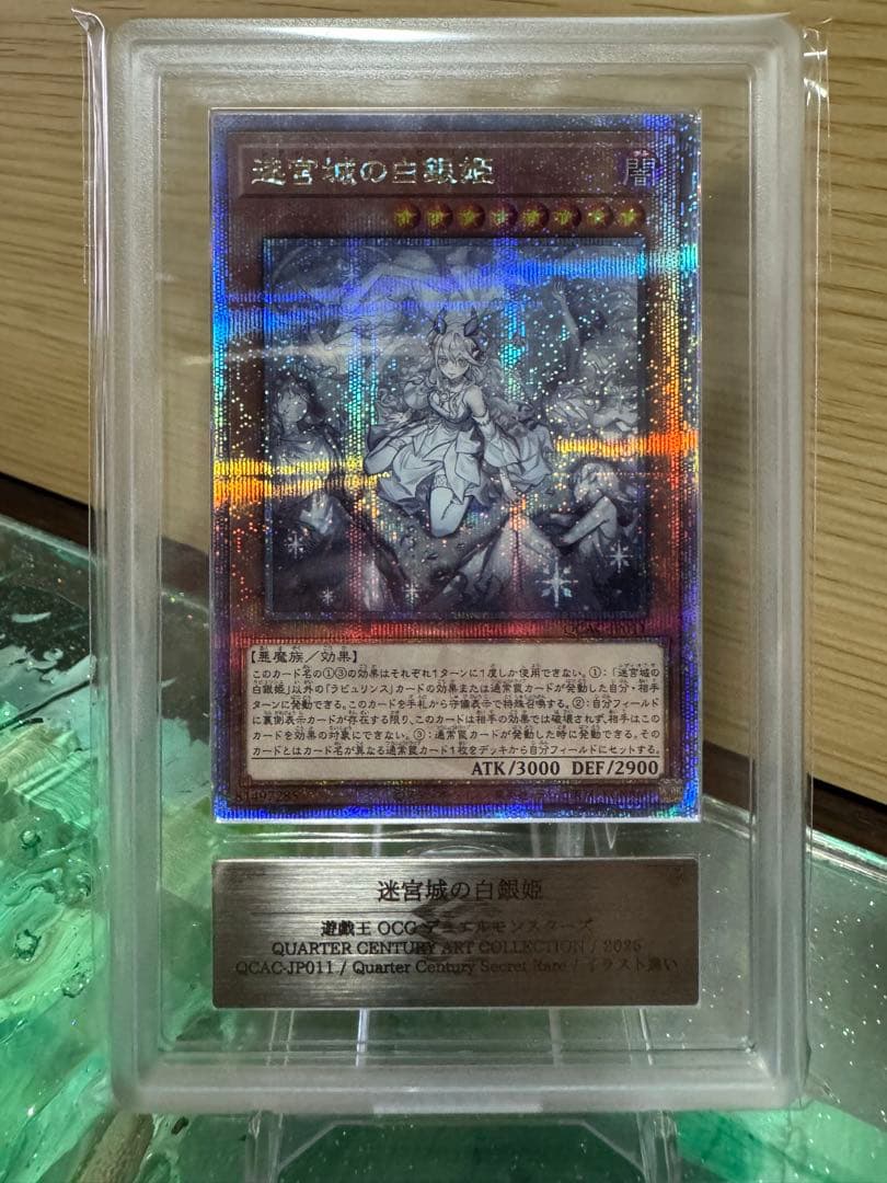 迷宮城の白銀姫　25th ars10 絵違い