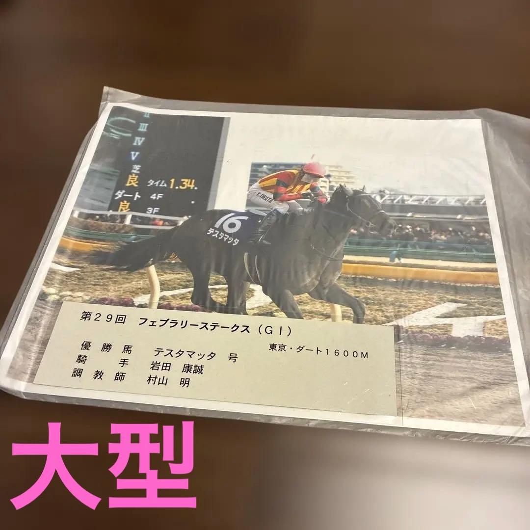 第29回フェブラリーステークス 記念印刷物　テスタマッタ