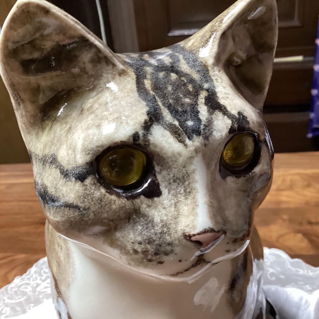 ウィンスタンレーキャット、ケンジントンキャットサイズ6の大きな猫