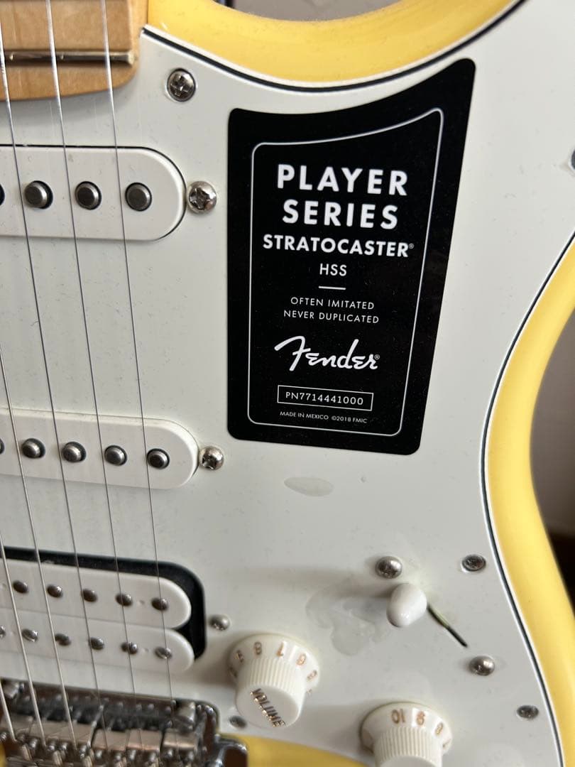 ギター Fender Stratocaster & Mustang Micro Plus