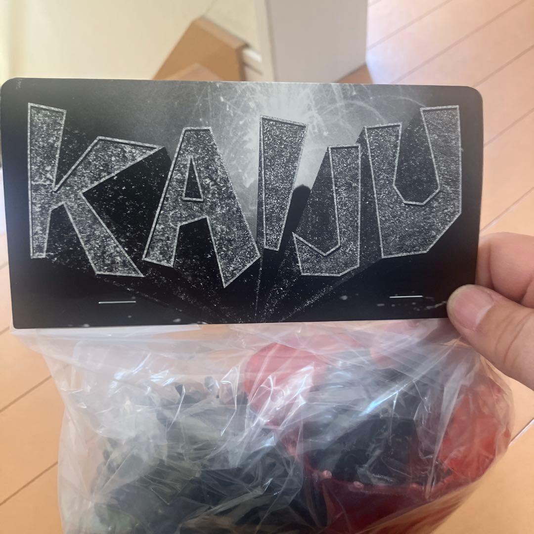 ヘドラ　マーミット　2007