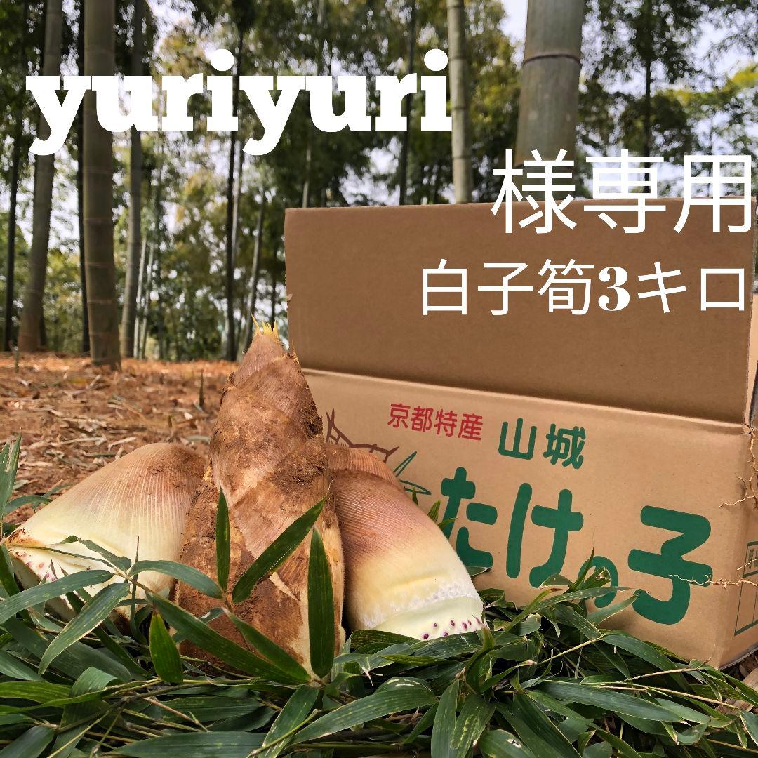 yuriyuri　白子筍3キロ　クール