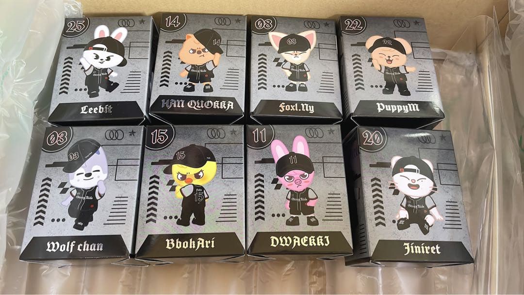 SKZOO figure フィギュア エコパ