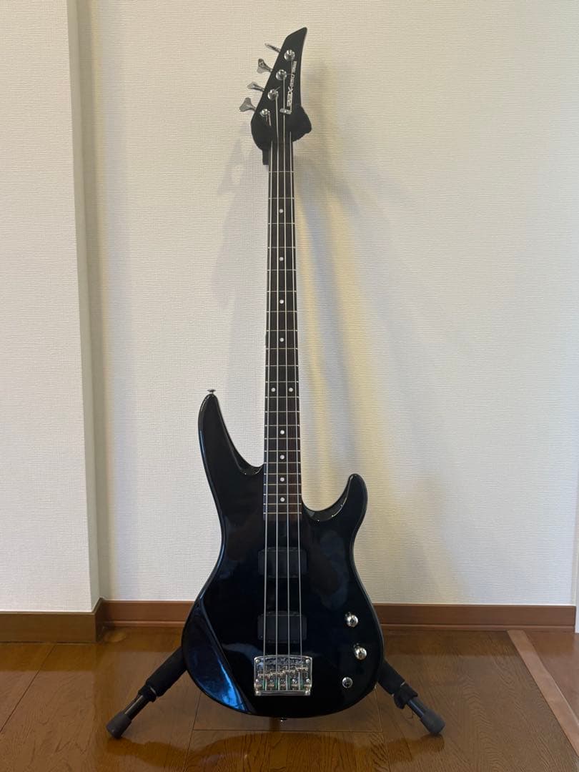 ハードケース、ソフトケース、ストラップ付き！YAMAHA　RBX550