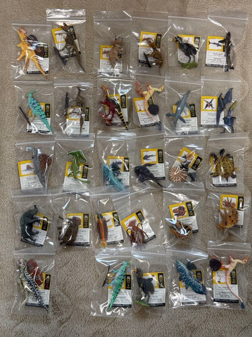 チョコラザウルス　セット