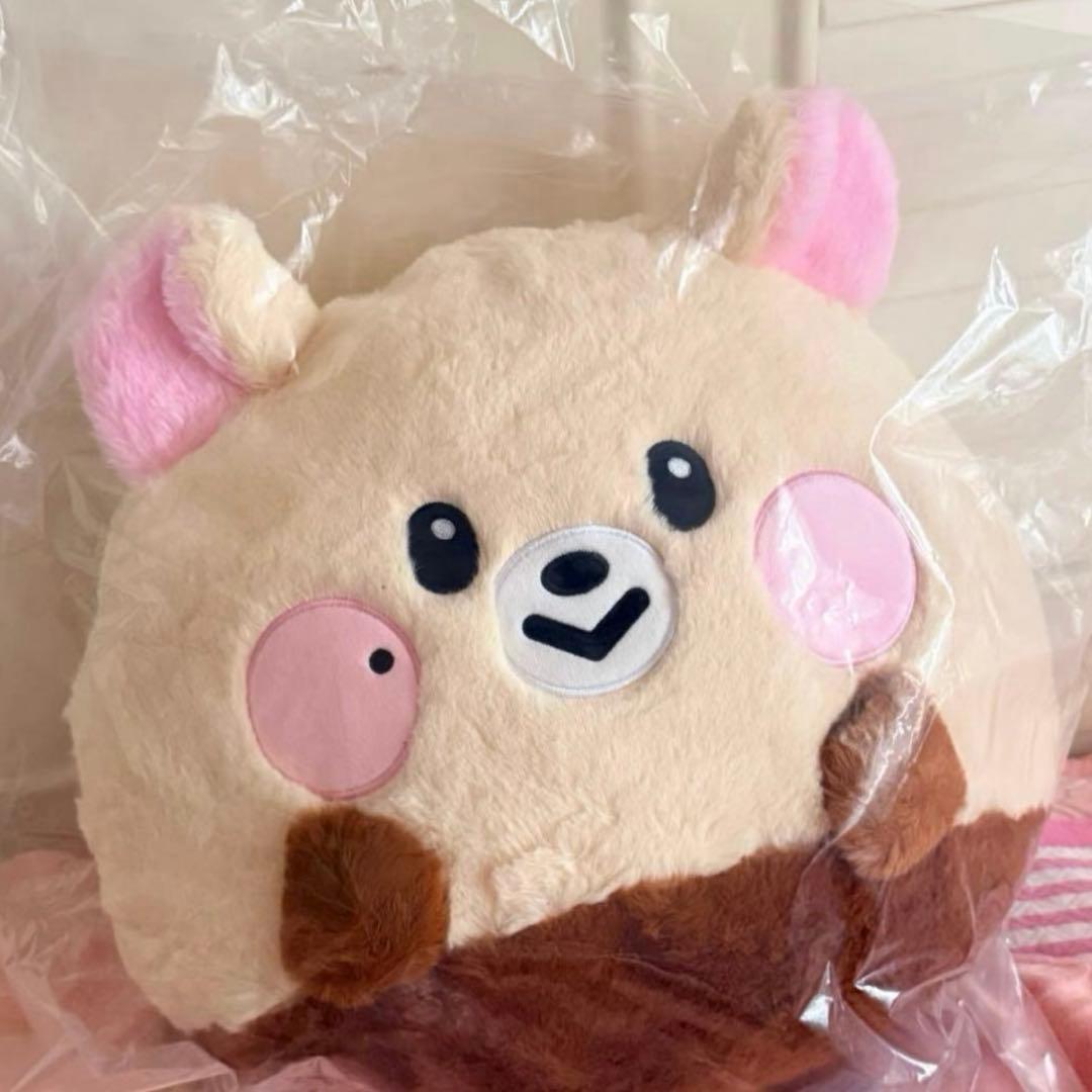 NCT Dreamiez フラットぬいぐるみクッション チソン