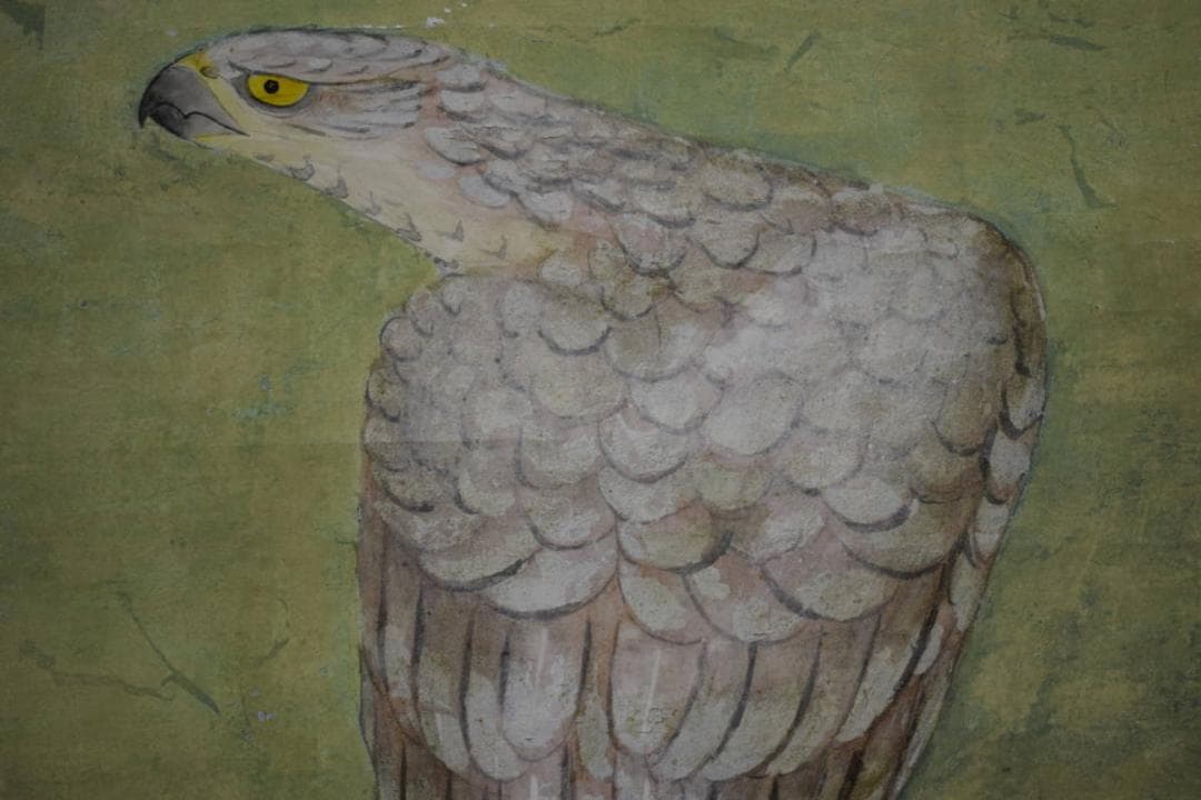 真作/宮原明良/鷹図/桐太巻二重箱付/布袋屋掛軸HG-600