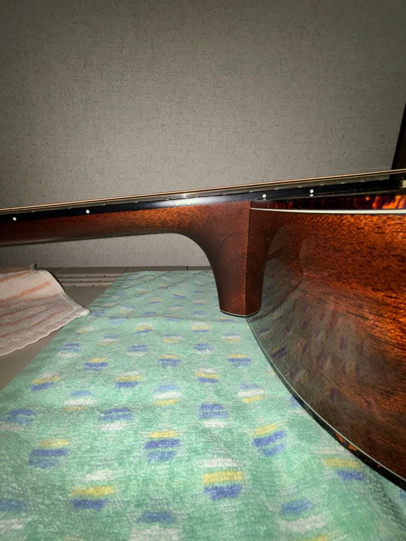 Morris M-82 + LR Baggs M1 搭載 純正ソフトケース付き