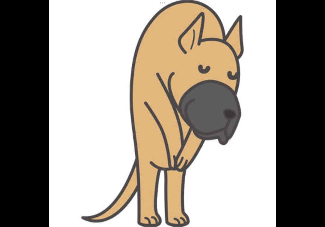 ダイヤモンド様　チキン