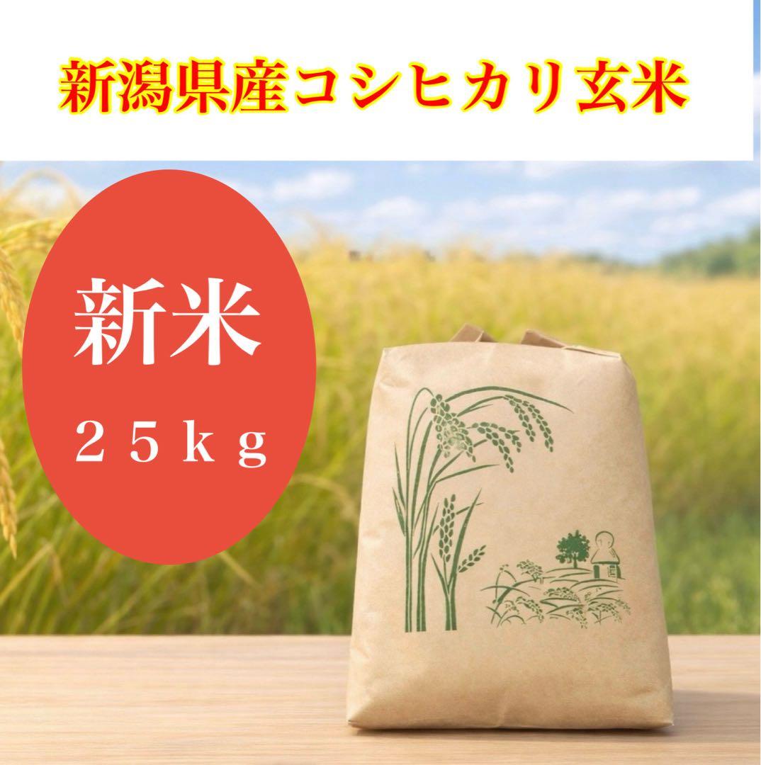 令和７年産米　新潟県産コシヒカリ　玄米　２５キロ　米