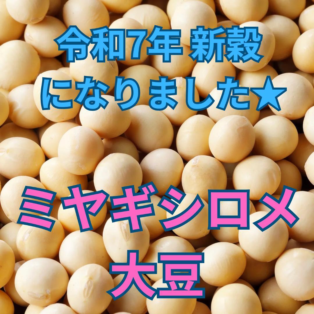 期間限定値下げ中◆超美肌ミヤギシロメ大豆 令和7年産 10kg★有機栽培ダイズ★