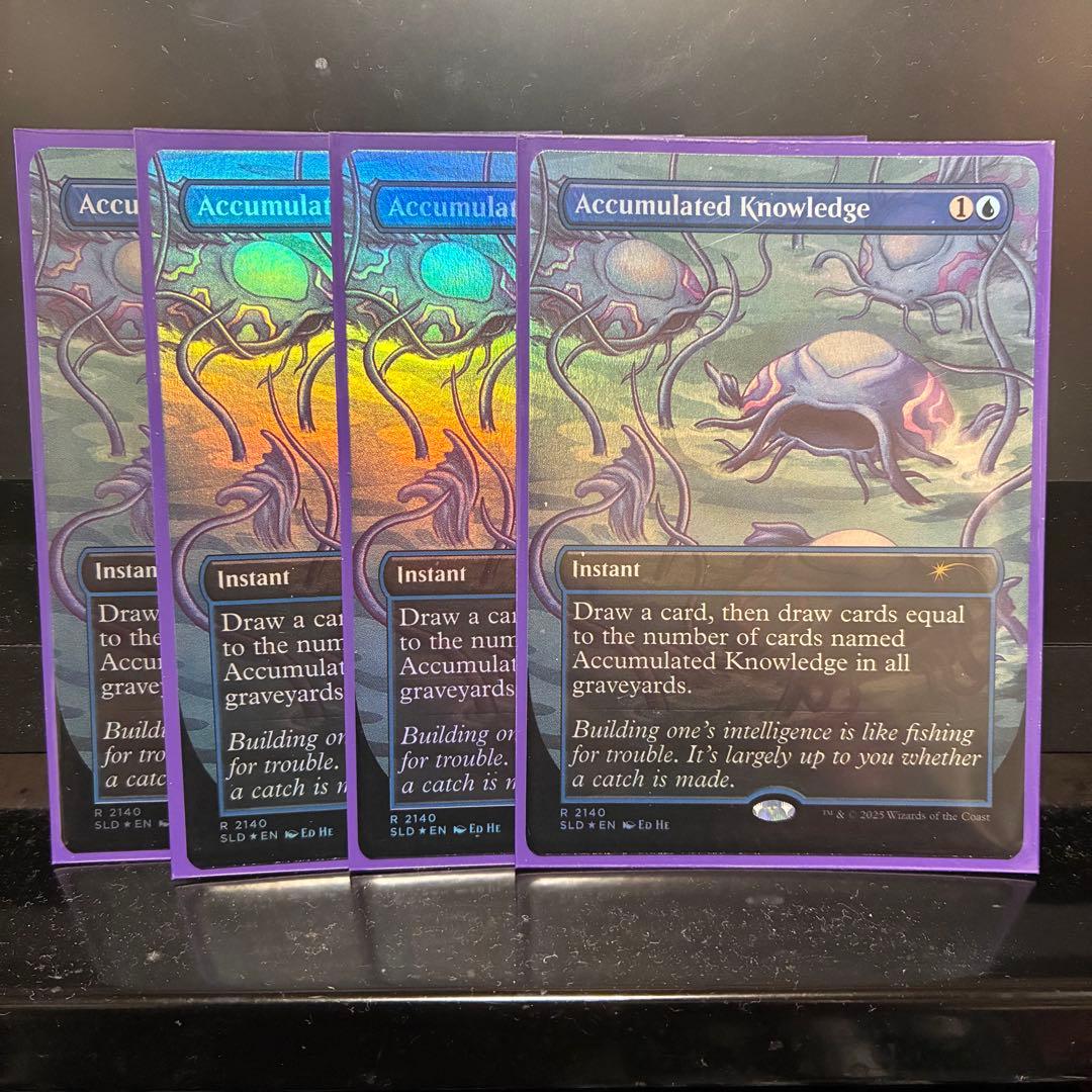 ダンダーンSL 蓄積した知識 Accumulated Knowledge 4枚