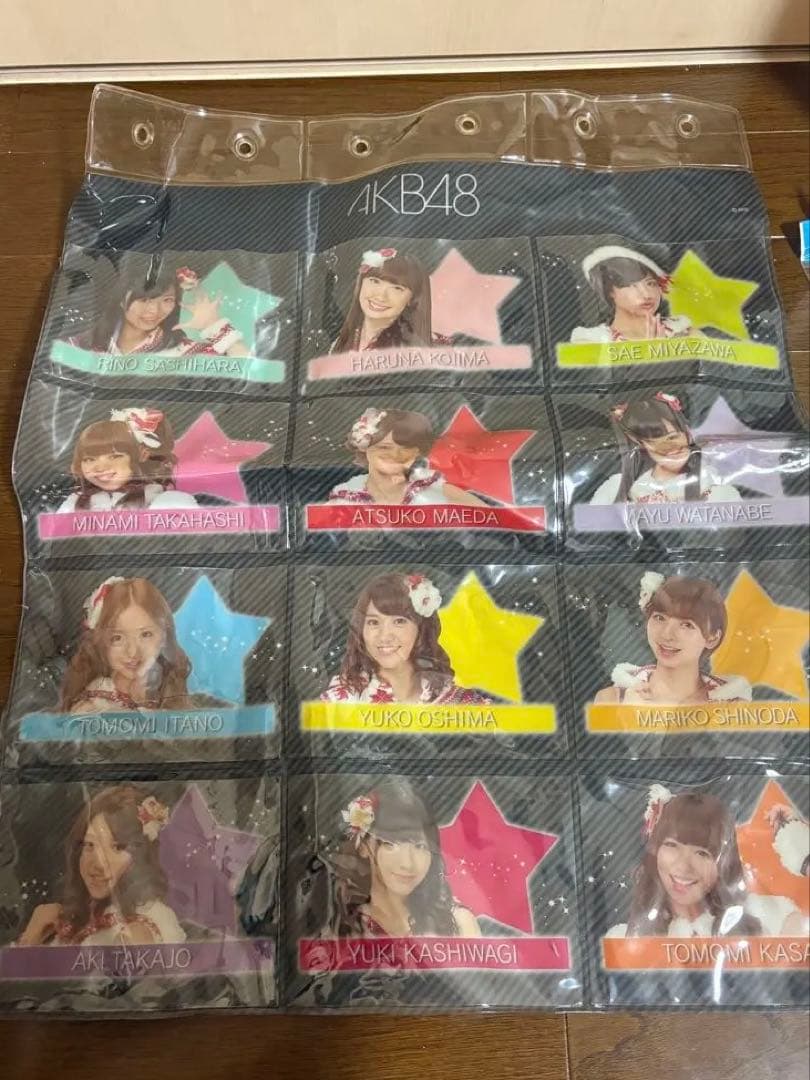 AKB48 メンバー写真 コレクション 12枚 タペストリー小物入れ