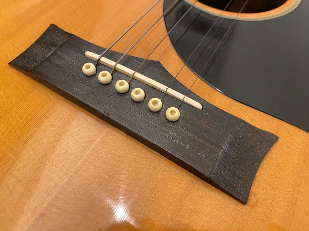 【高級】グレコ　G-40 ビンテージギター　the greco guiter