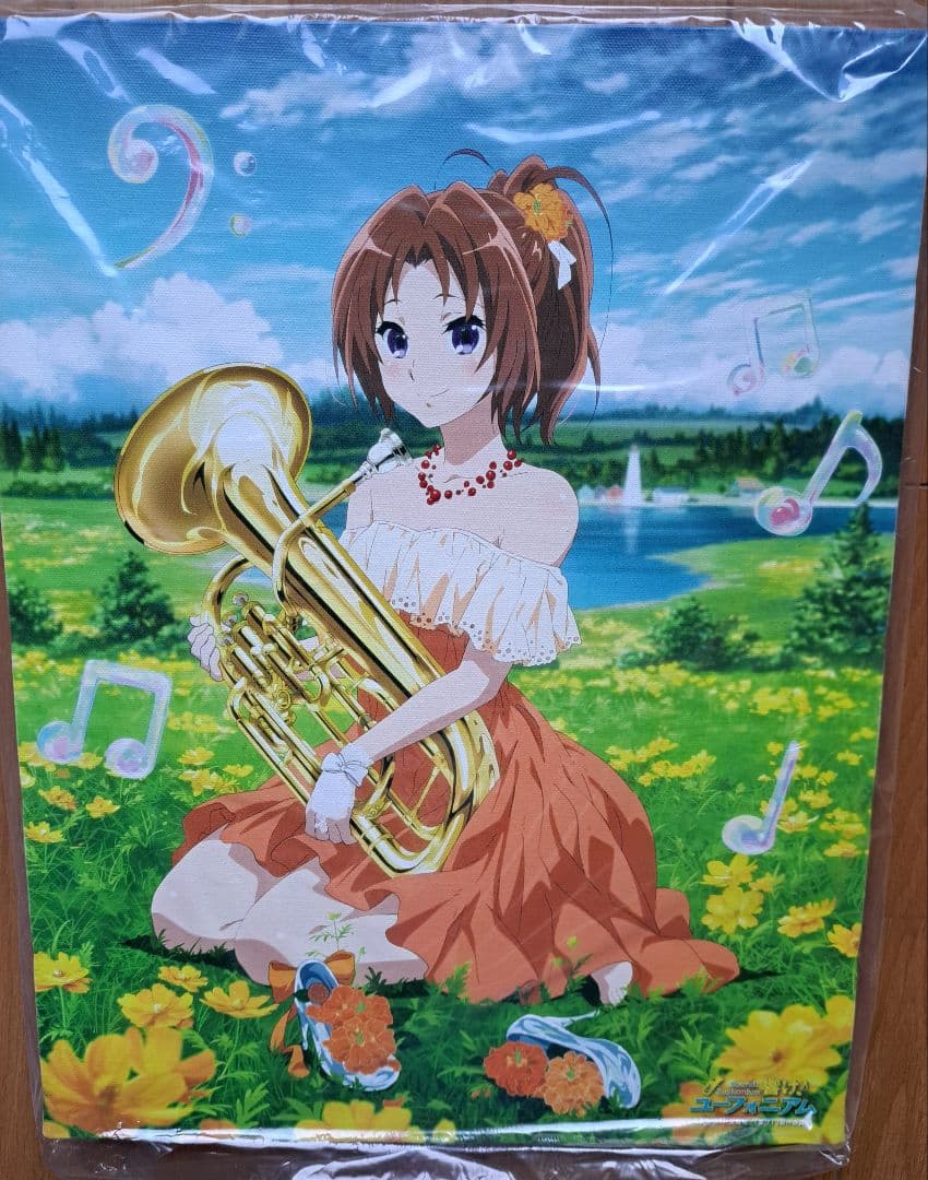響け　ユーフォニアム　中川夏紀　キャンバスアート