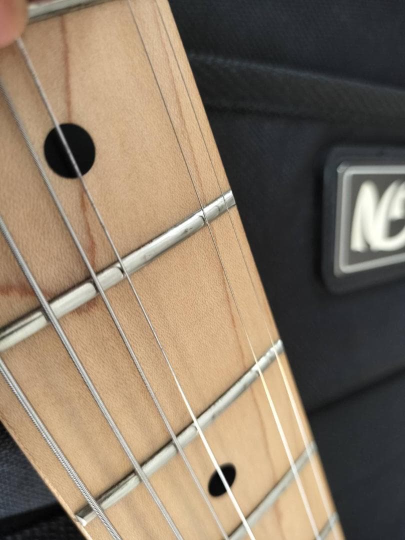 FGN フジゲン J-Standard ST-STD5M 純正ギグバッグ付