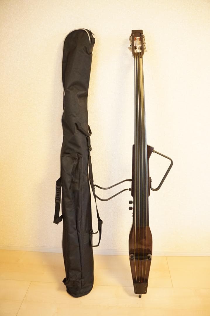 Hallstatt KYB-200 アップライトベース　ケース付き