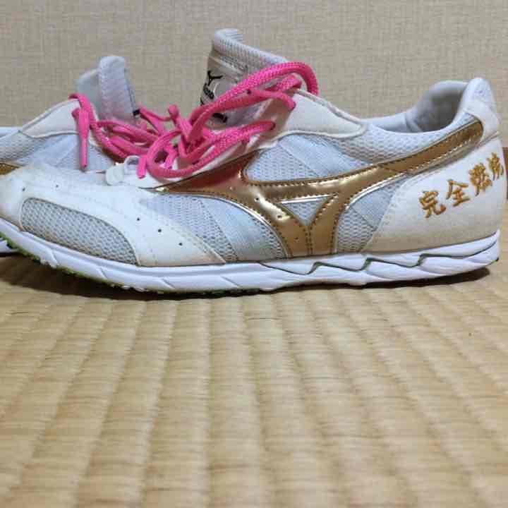 オーダのクルーズ