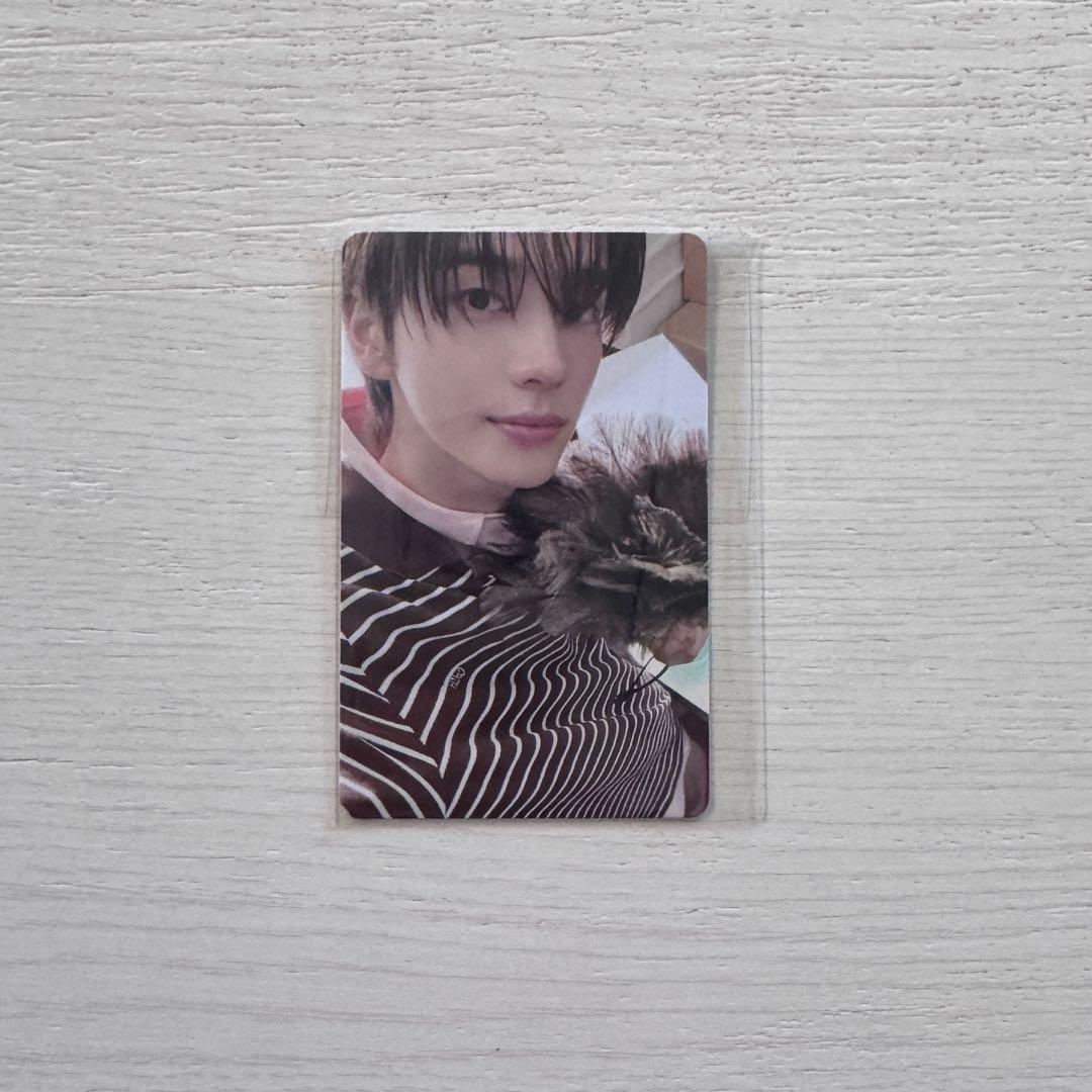 シニュ トレカ fans 特典