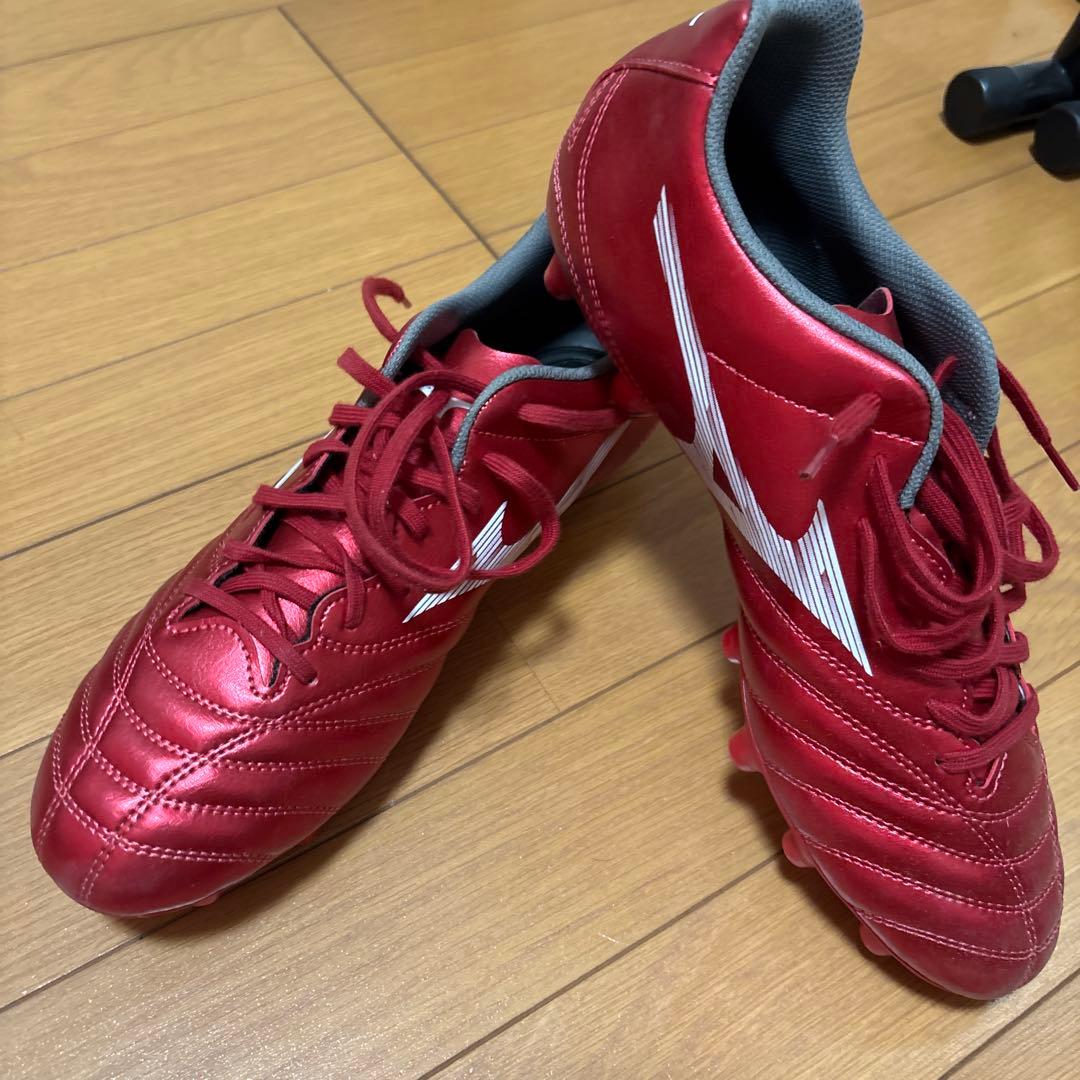 モナルシーダ赤