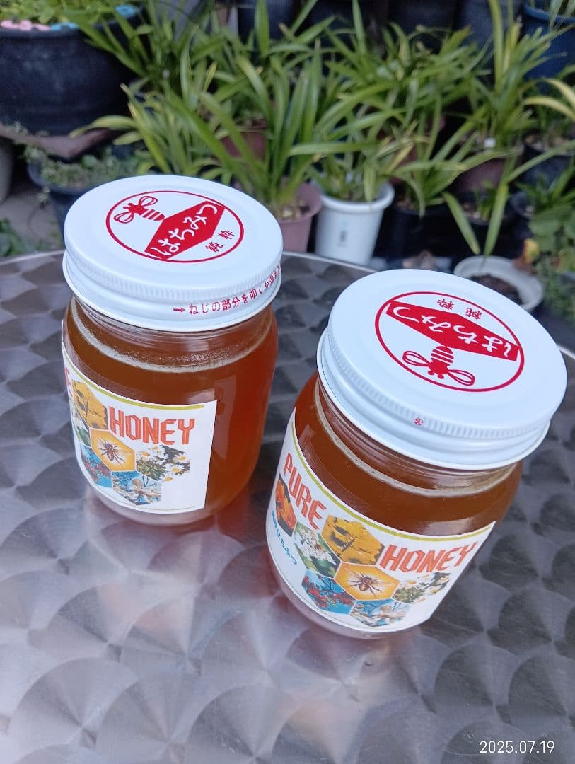 ｎ…です。　　ニホンミツバチの百花蜜　国産天然ハチミツ　580グラム　2本