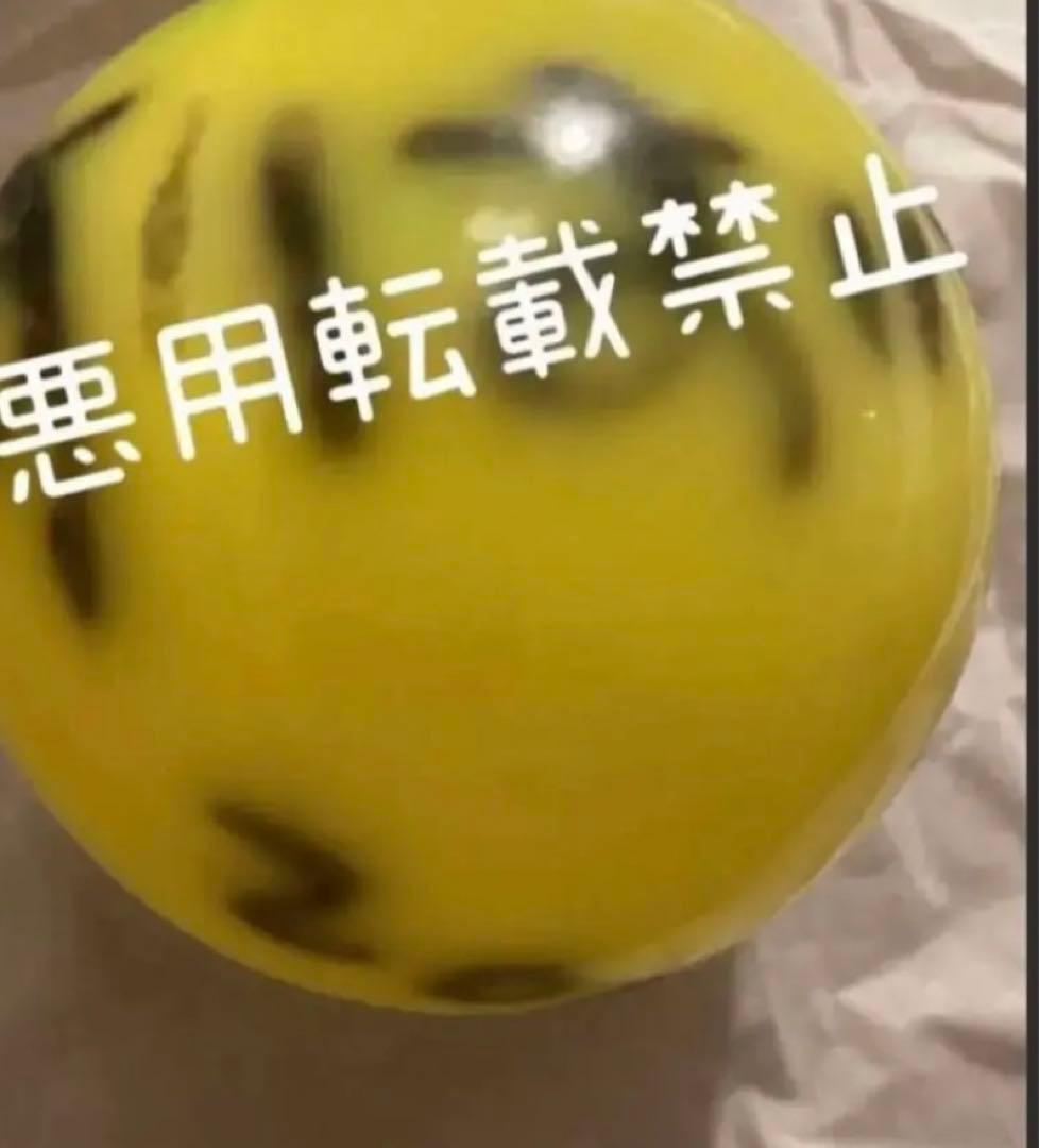 渋谷すばるさん　サインボール