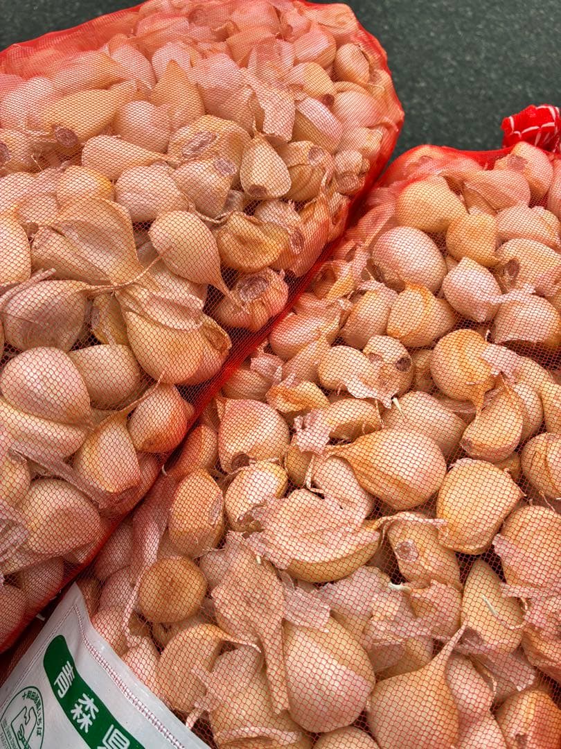 青森県バラにんにく10Kg ML タネおすすめ