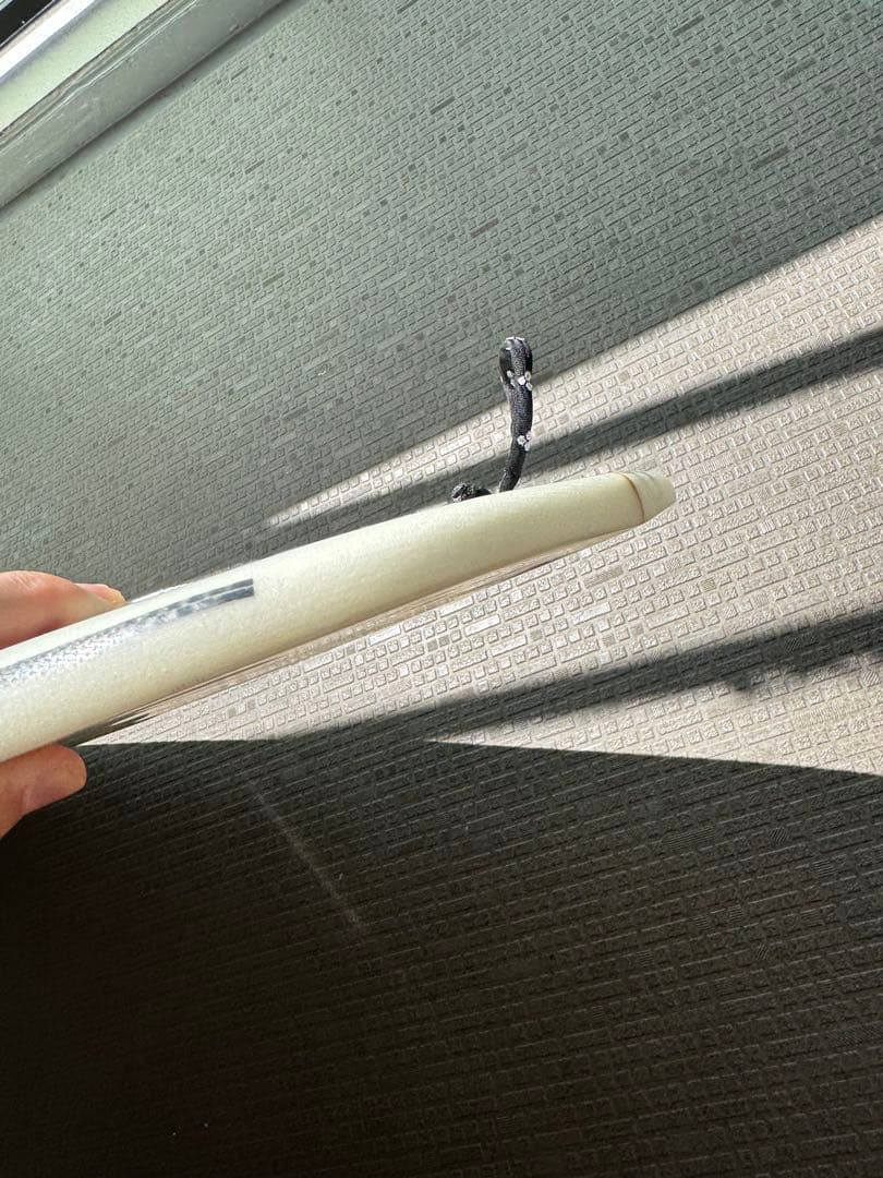 【美品】スパムホエール5‘7 5プラグ【希少】