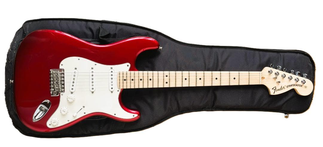 S*E様 Fender American Special Stratocaste