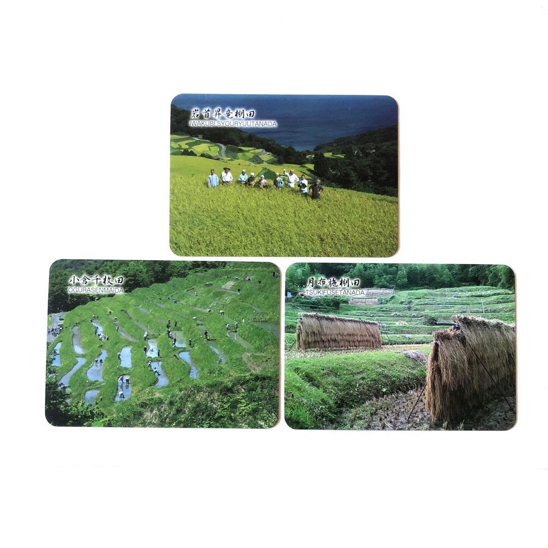 棚田カード　岩首昇竜棚田 小倉千枚田 月布施棚田(新潟県)