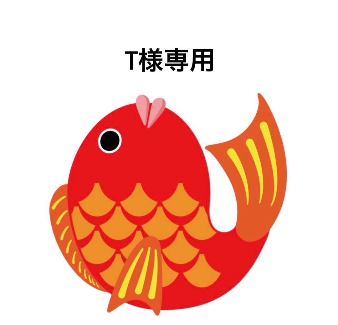 T　タイラバ　タングステン　目あり無垢