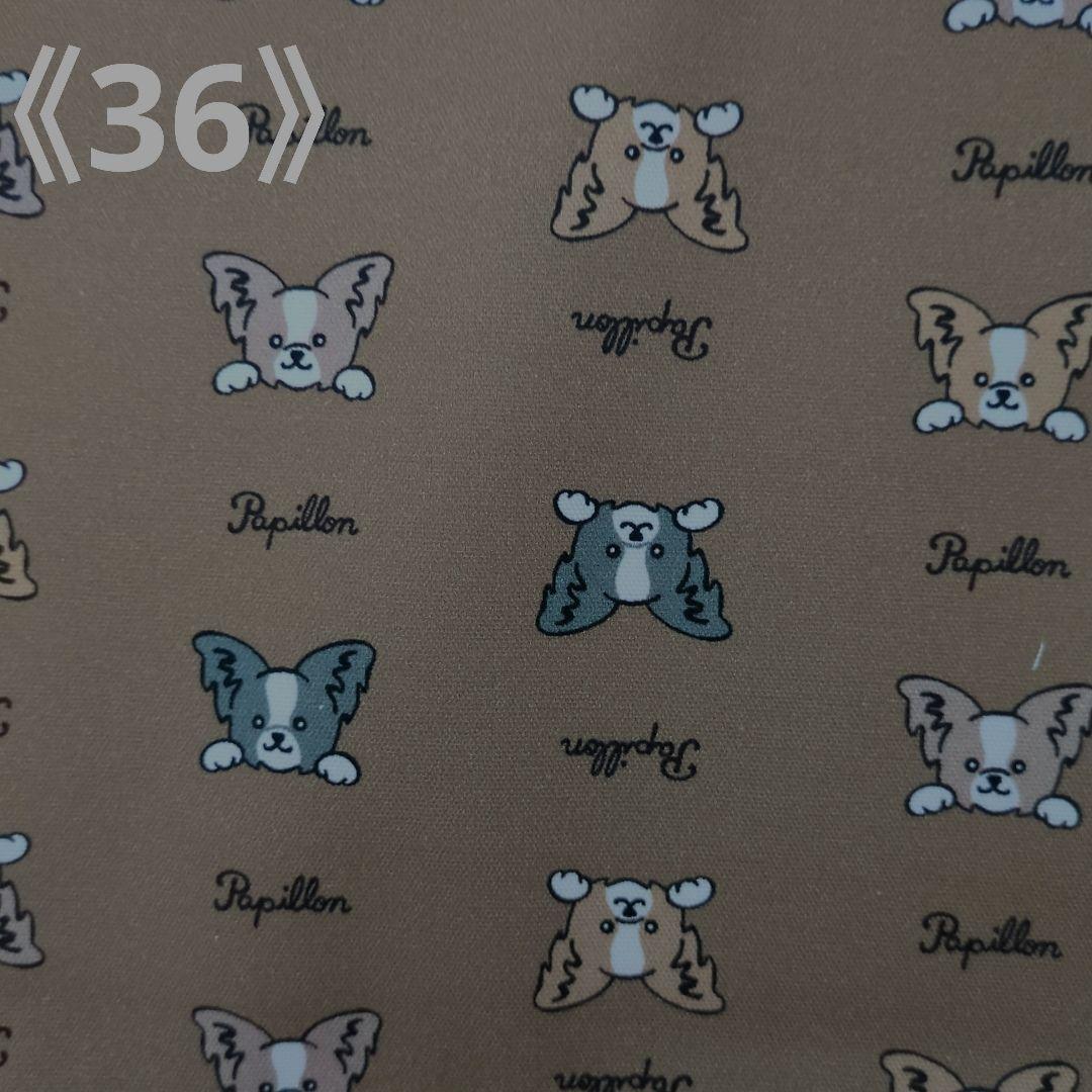 ペット✩犬✩マナーベルトオーダー用 サンプル(確認用)パピヨン犬デザイン