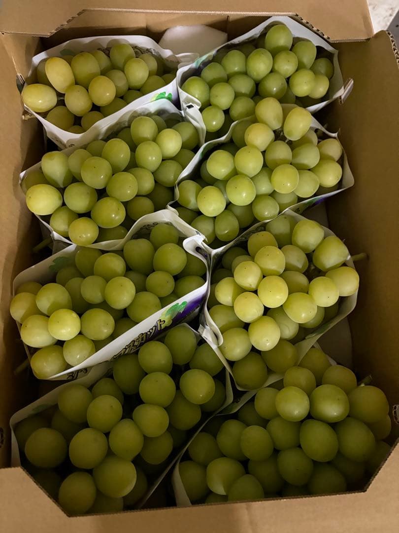 山梨県産　特大シャインマスカット　8房セット　5kg