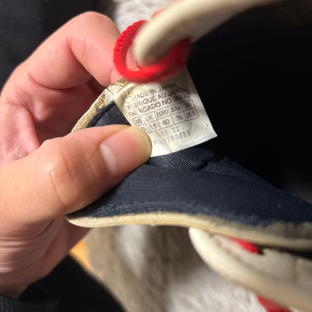 ミズノモレリア2ジャパン