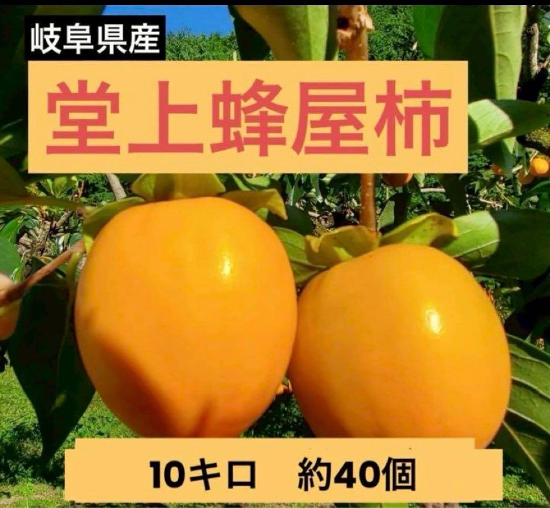 光望正宗是近一之輔 岐阜県産★最高品種の堂上蜂屋柿10キロ★産地直送★