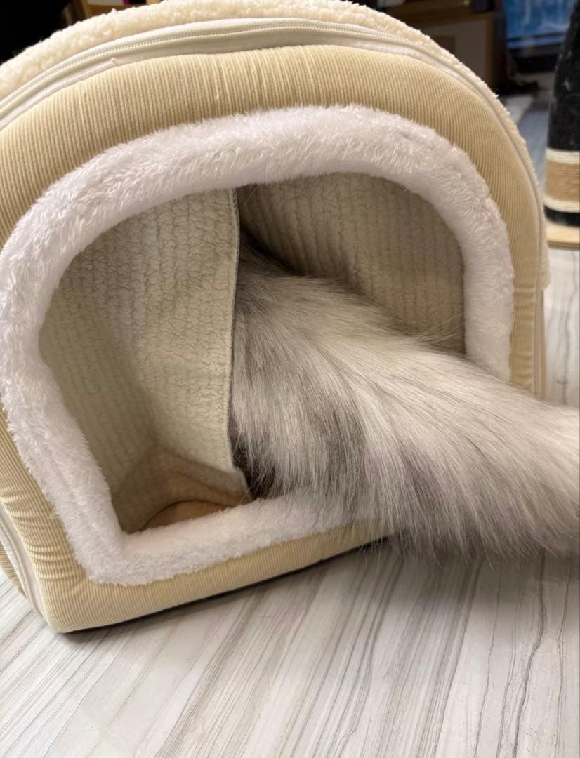 トンネル型猫用ハウス クリーム色