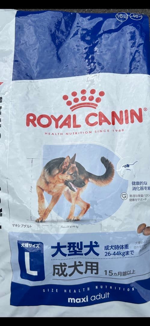  CANIN マキシ アダルト 16kg