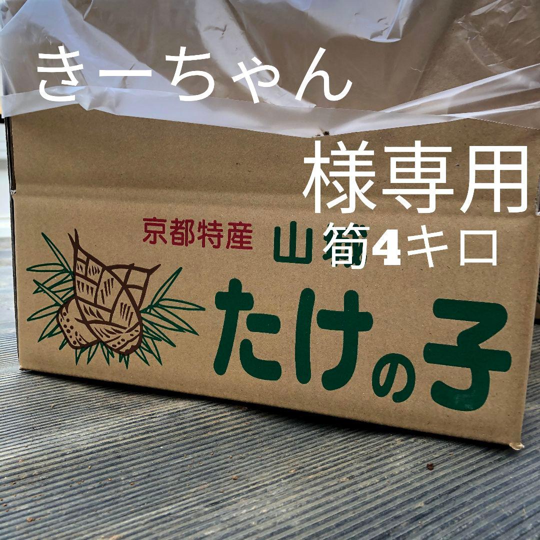 きーちゃん　筍4キロ