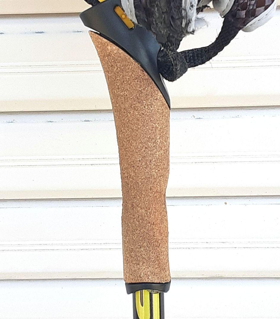 クロスカントリースキー　ポール　SWIX Star CT1