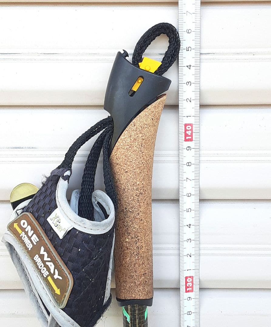 クロスカントリースキー　ポール　SWIX Star CT1