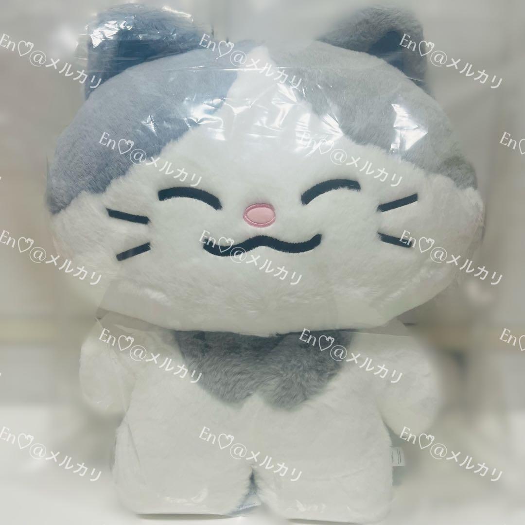 NCT DREAM チョンロ Dreamiez フラットぬいぐるみ クッション