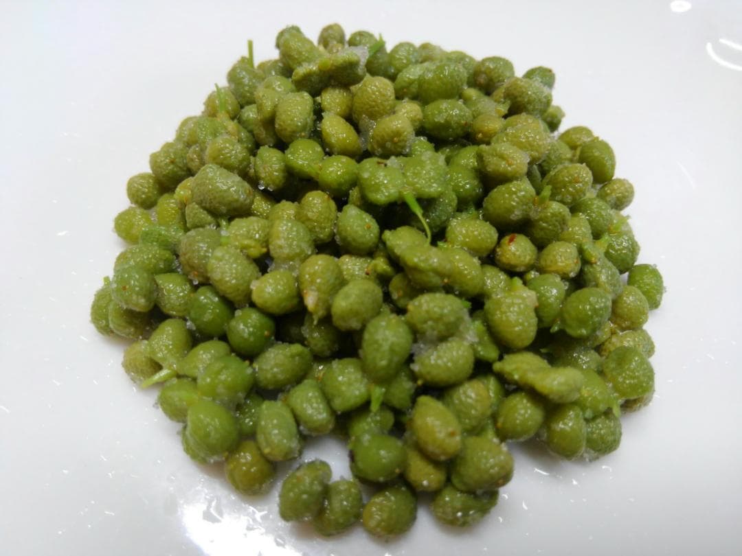 枝取りアク抜き済み！　北秋田阿仁産手作り塩蔵実山椒50ｇ×20パック