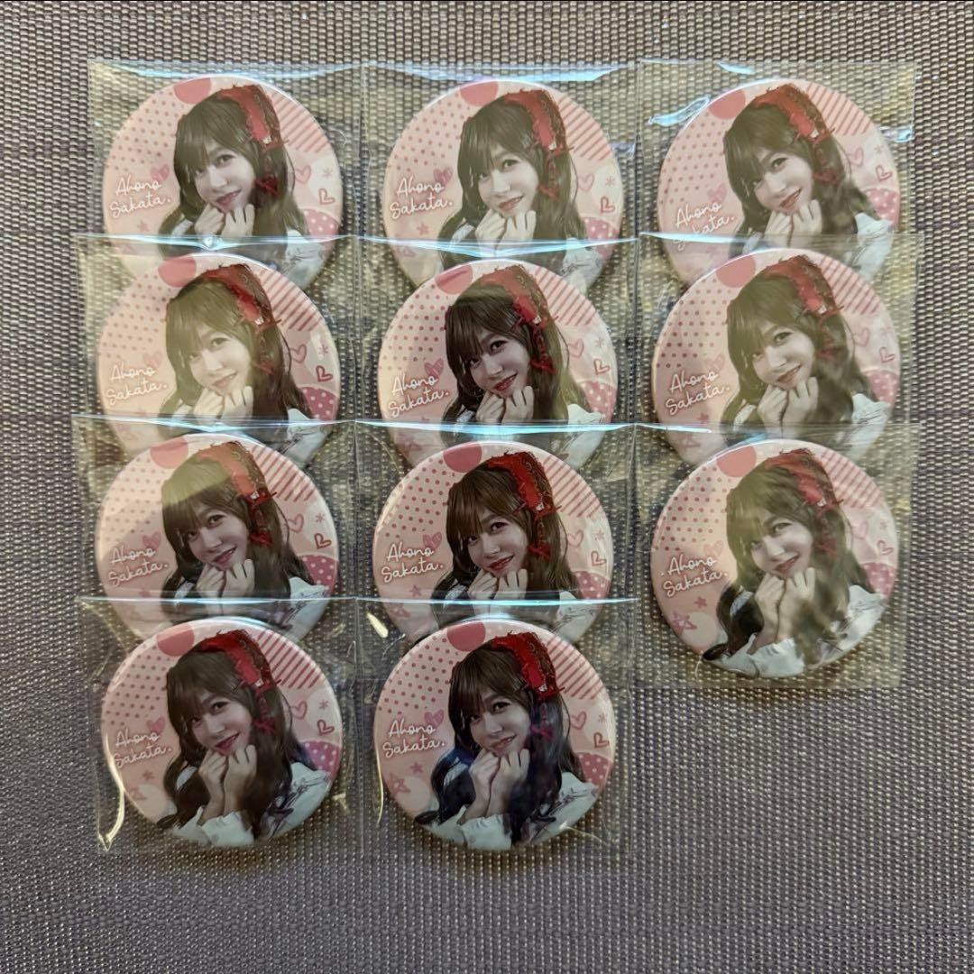 あほの坂田 ワンマン  缶バッジ さかこ