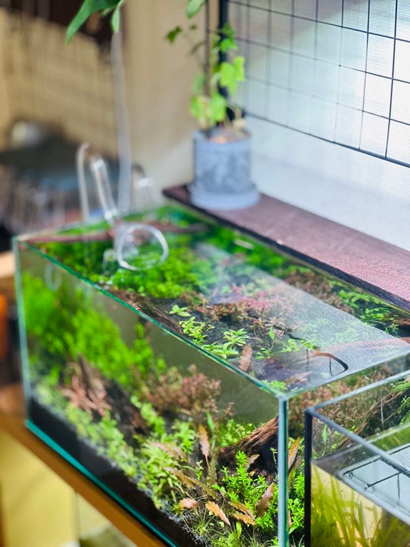 【調光・スケジュール管理】RBGスポットライト