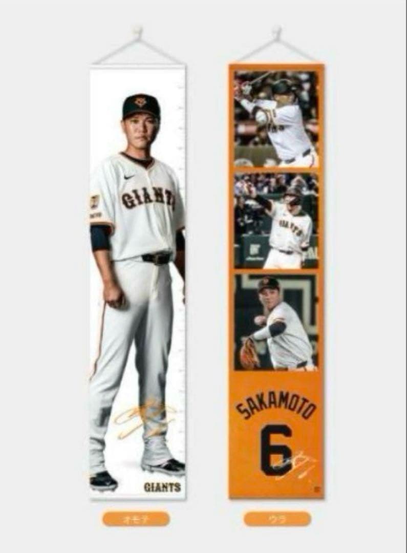 巨人 読売 ジャイアンツ 坂本勇人選 等身大サイズタペストリー ファンクラブ限定