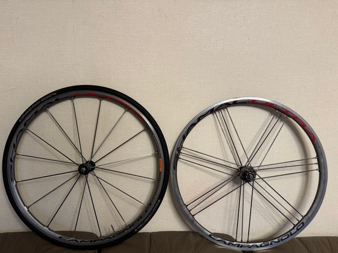 チタンカラー　CAMPAGNOLO SHAMAL ULTRA クリンチャー