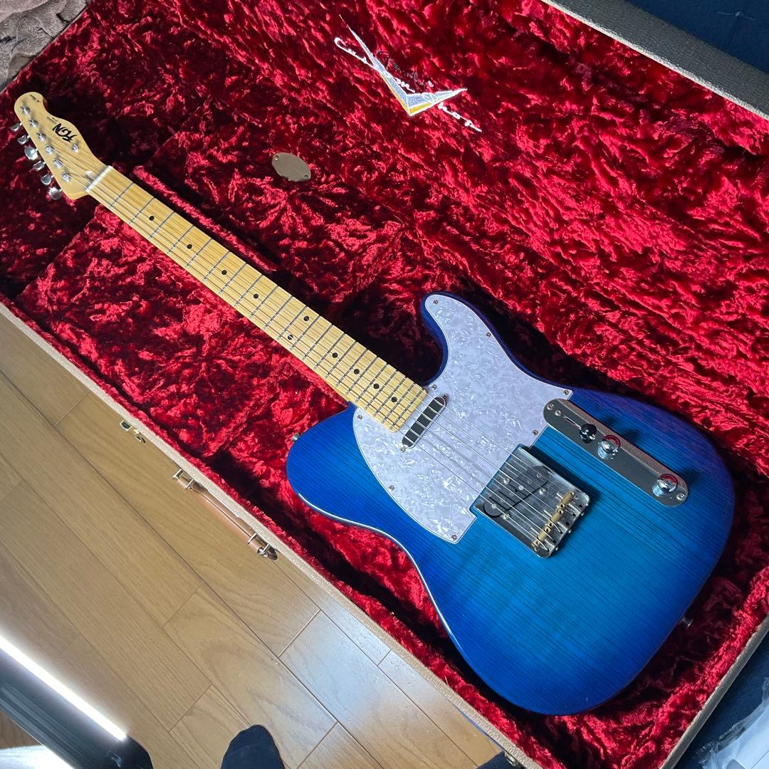 ギター FGN (Fujigen) NTL10MAH SBB