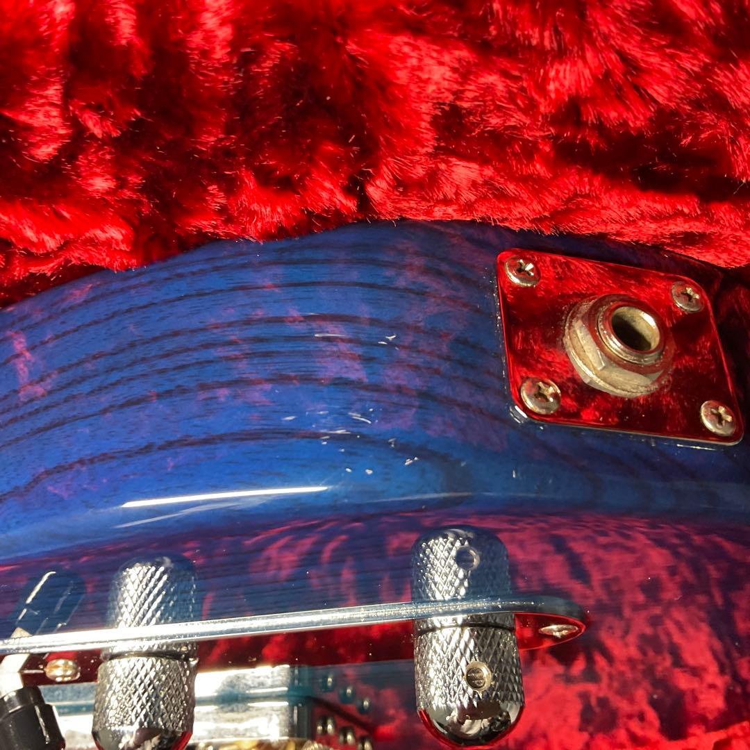 ギター FGN (Fujigen) NTL10MAH SBB